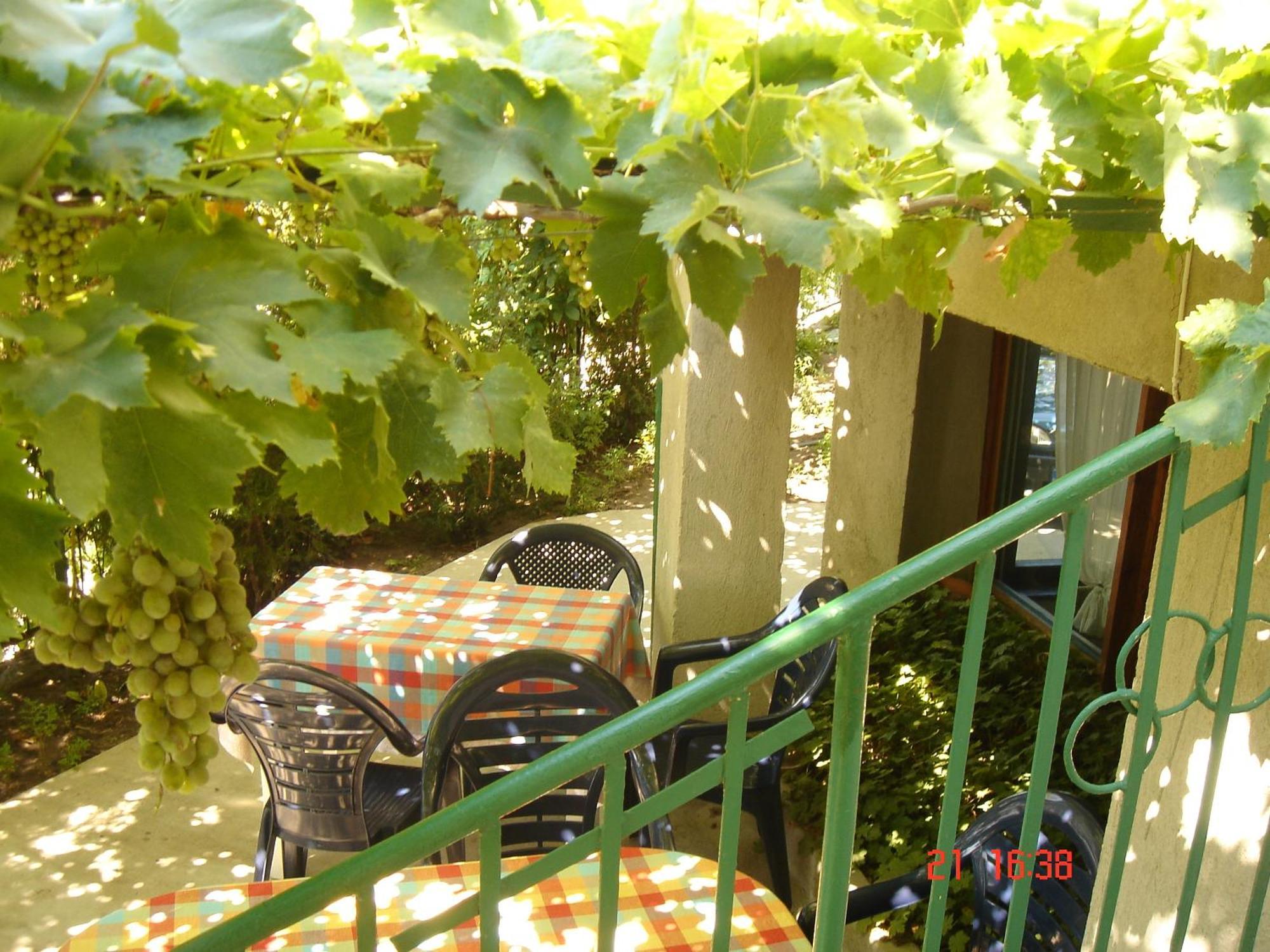 Villa Elfi Golden Sands Bagian luar foto