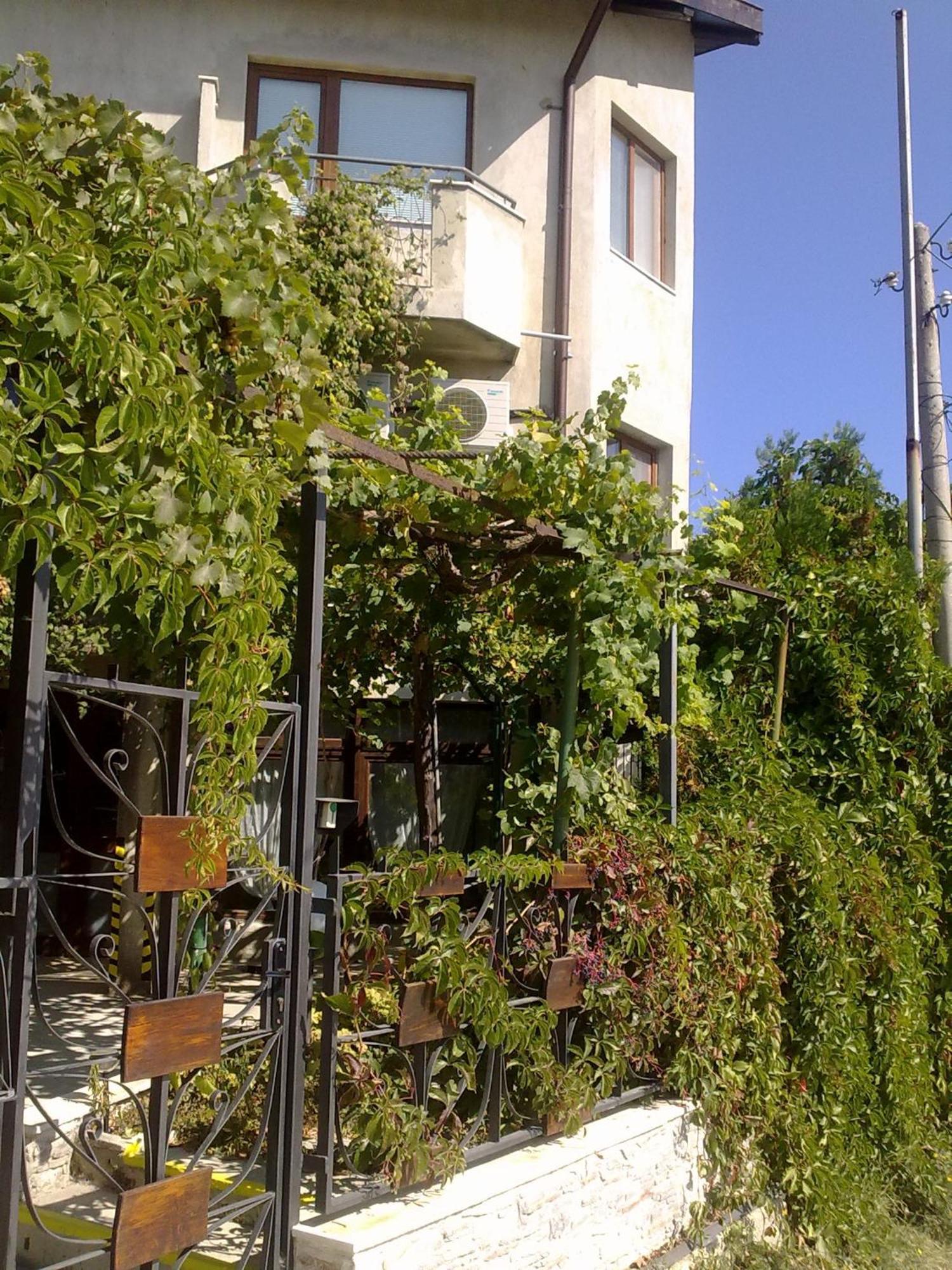 Villa Elfi Golden Sands Bagian luar foto