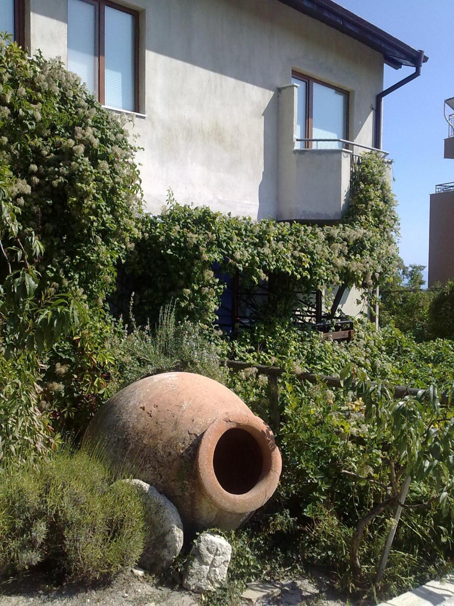 Villa Elfi Golden Sands Bagian luar foto